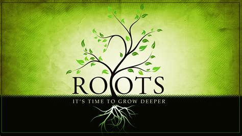Deeper roots - We use cookies to ensure the best experience on our website. By using our site, you consent to cookies. Learn More. Accept 